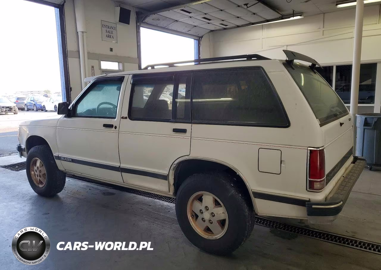 1991 Chevrolet Blazer S10 VIN:1GNDT13Z0M2199156 - 2