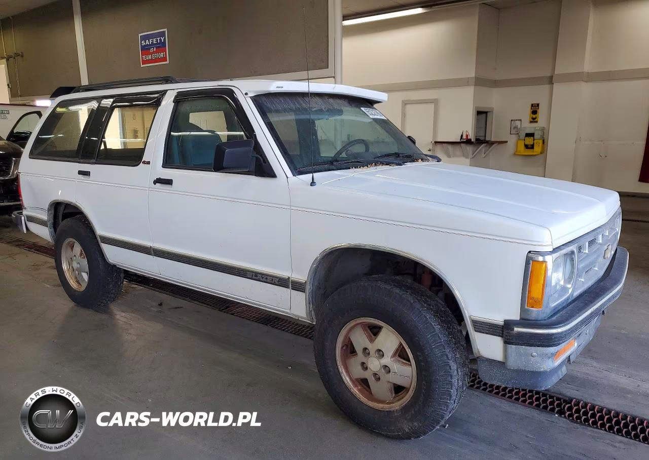 1991 Chevrolet Blazer S10 VIN:1GNDT13Z0M2199156 - 4