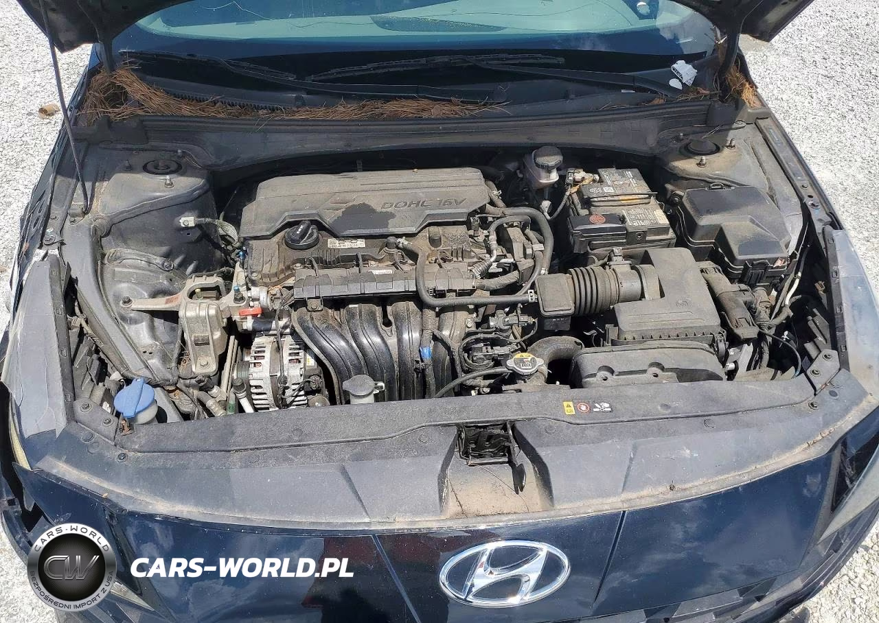 2023 Hyundai Elantra Sel VIN:5NPLM4AG9PH095644 - 11