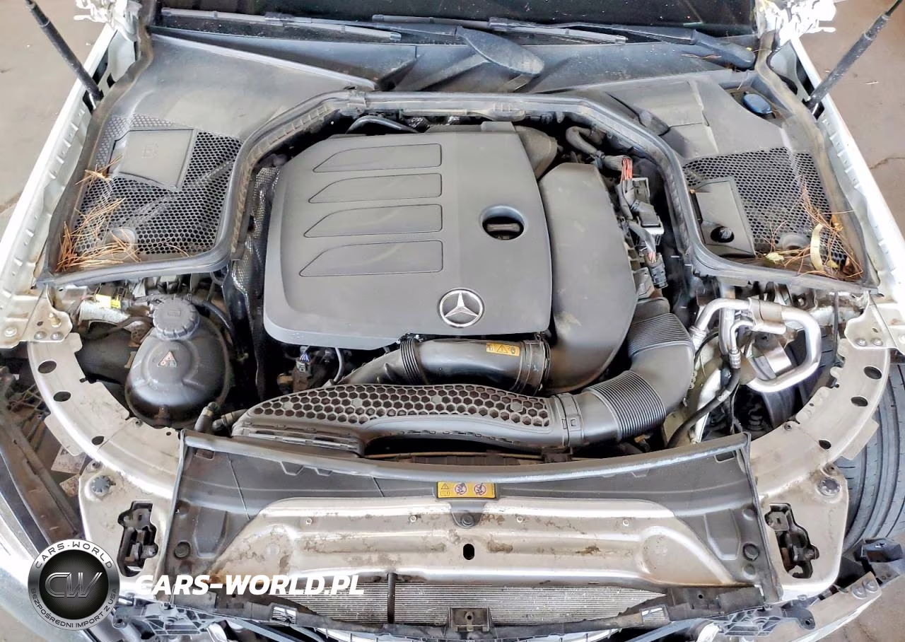 2022 Mercedes-Benz C 300 VIN:W1KWJ8DB9NG113421 - 11