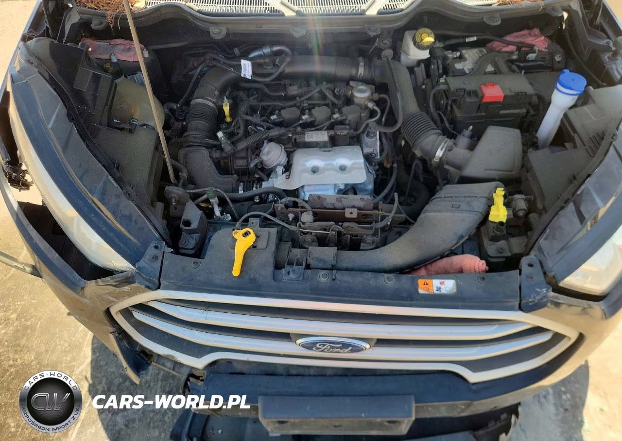 2021 Ford Ecosport Se VIN:MAJ3S2GE8MC427117 - 12