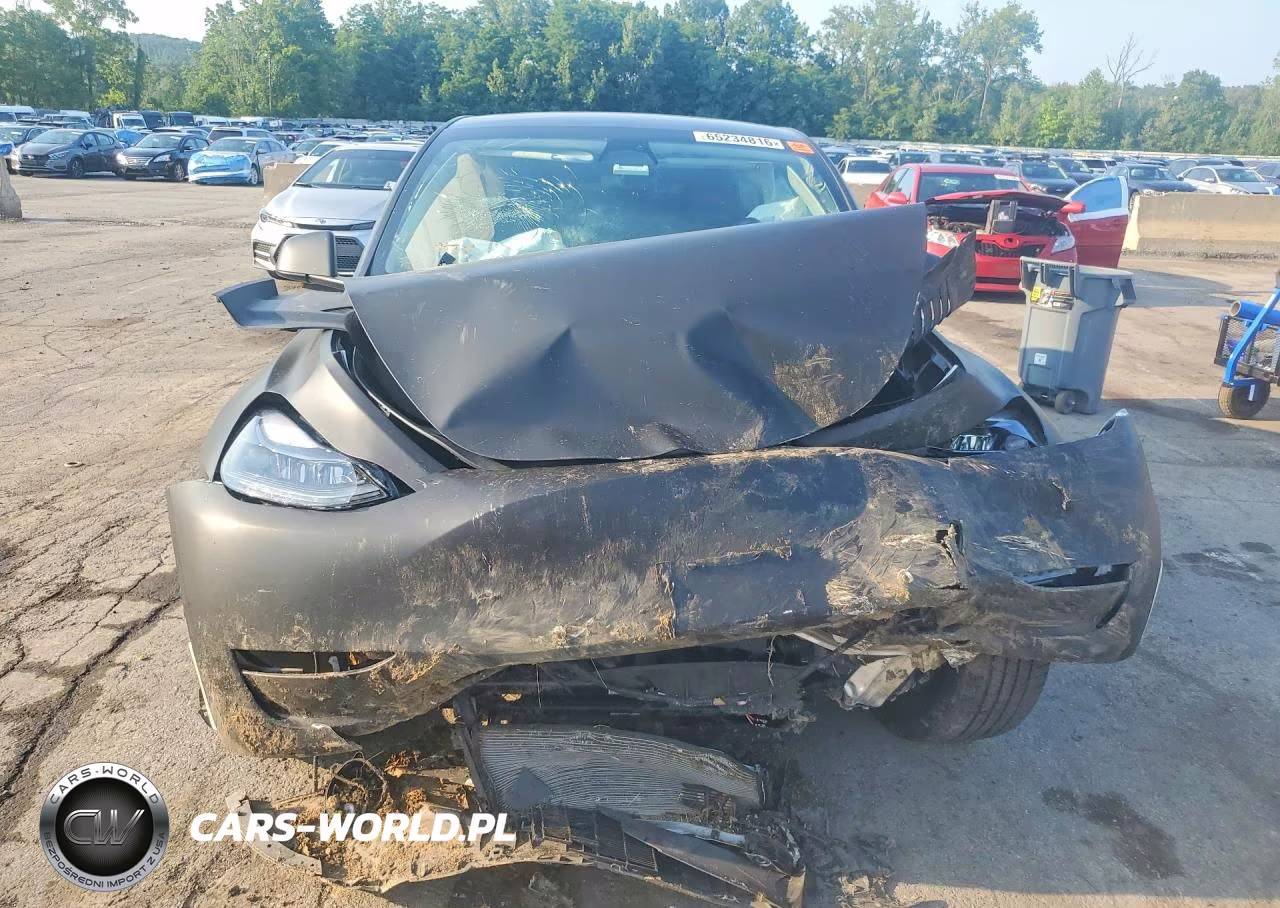 2022 Tesla Model Y VIN:7SAYGDEF7NF486966 - 5