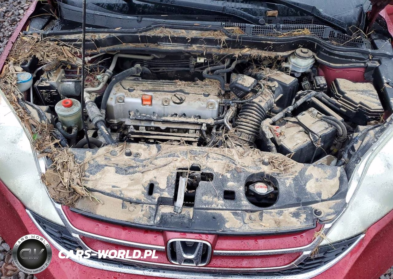 2010 Honda Cr-V Exl VIN:5J6RE4H71AL094353 - 12