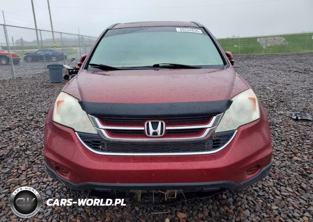 2010 Honda Cr-V Exl VIN:5J6RE4H71AL094353 - 5