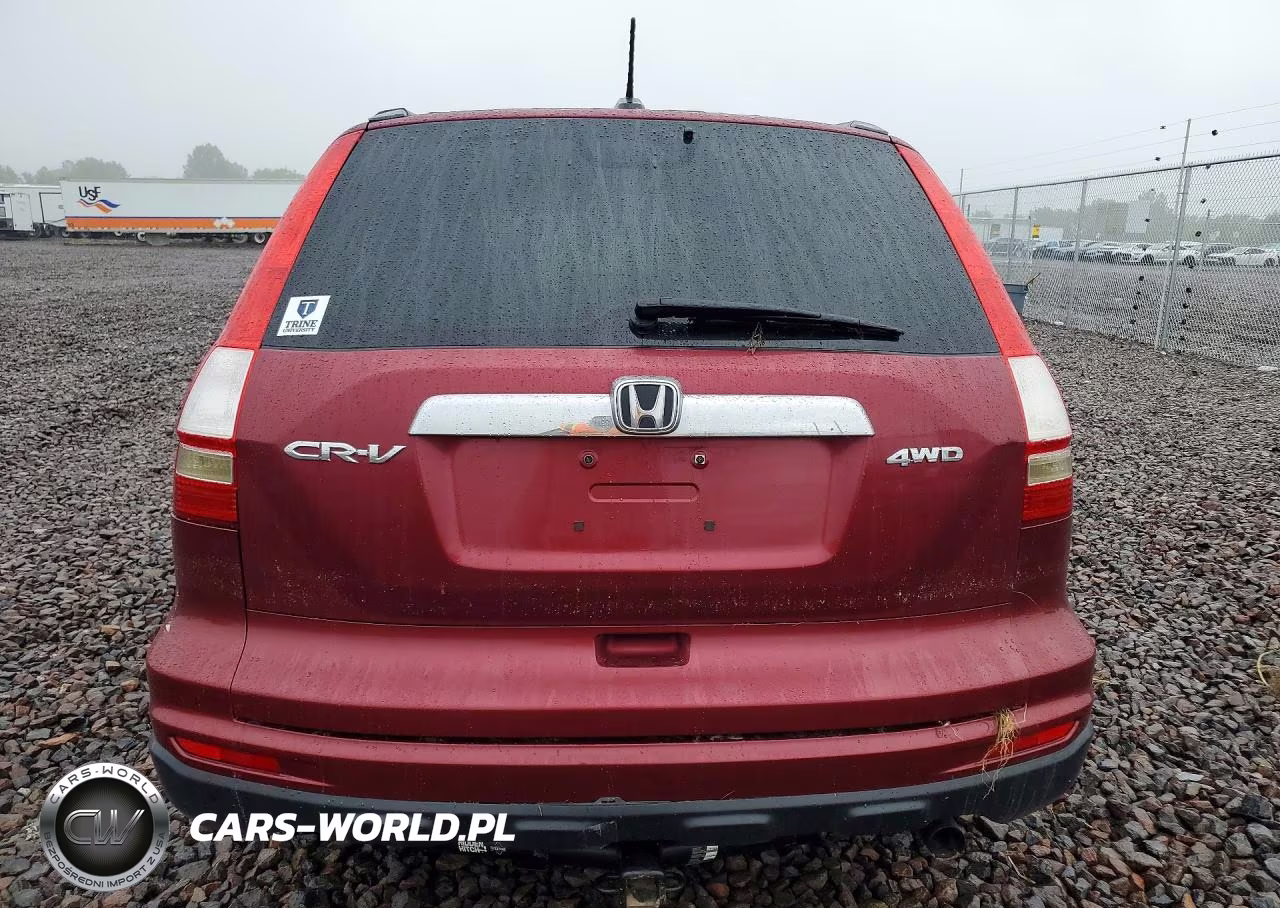 2010 Honda Cr-V Exl VIN:5J6RE4H71AL094353 - 6