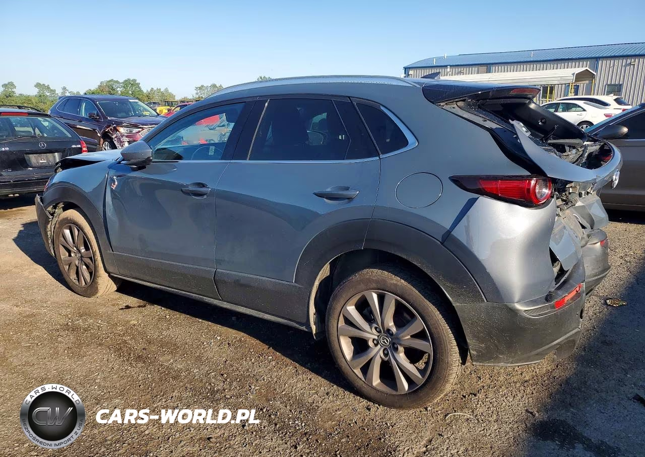 2021 Mazda Cx-30 Premium VIN:3MVDMBDL7MM316535 - 2