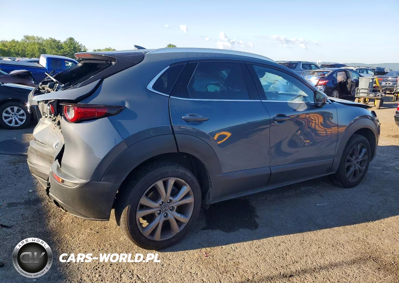 2021 Mazda Cx-30 Premium VIN:3MVDMBDL7MM316535 - 3