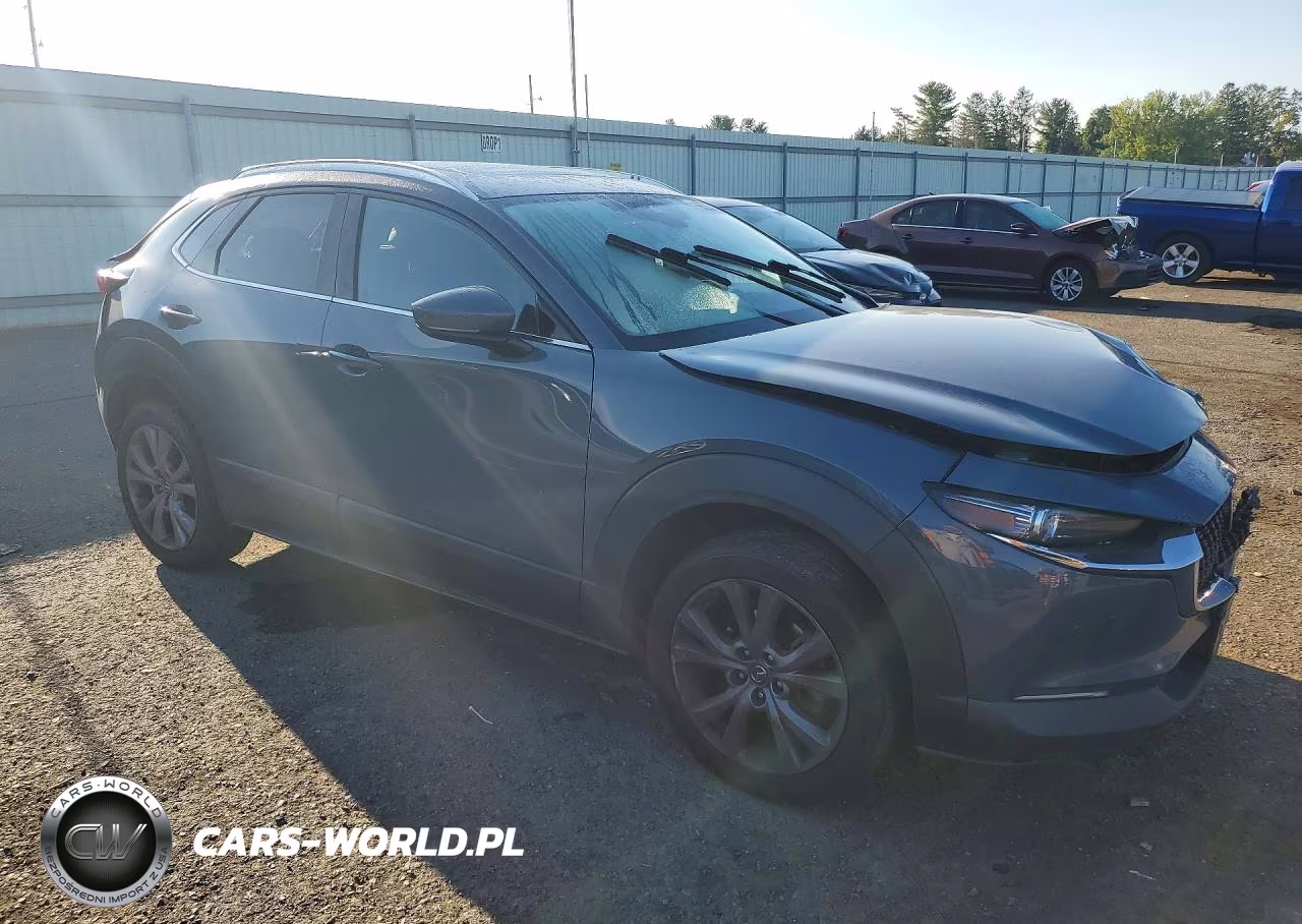 2021 Mazda Cx-30 Premium VIN:3MVDMBDL7MM316535 - 4