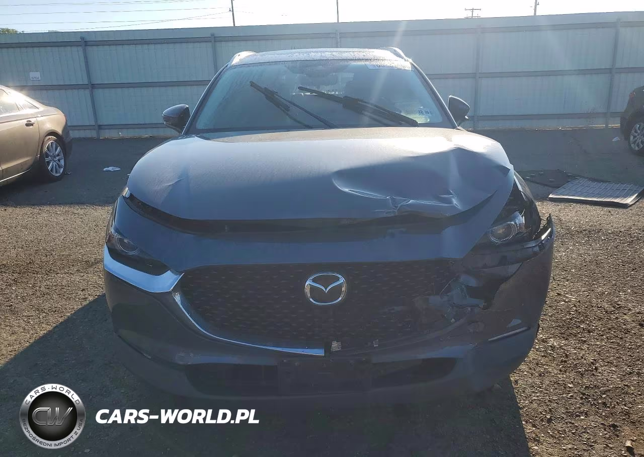 2021 Mazda Cx-30 Premium VIN:3MVDMBDL7MM316535 - 5