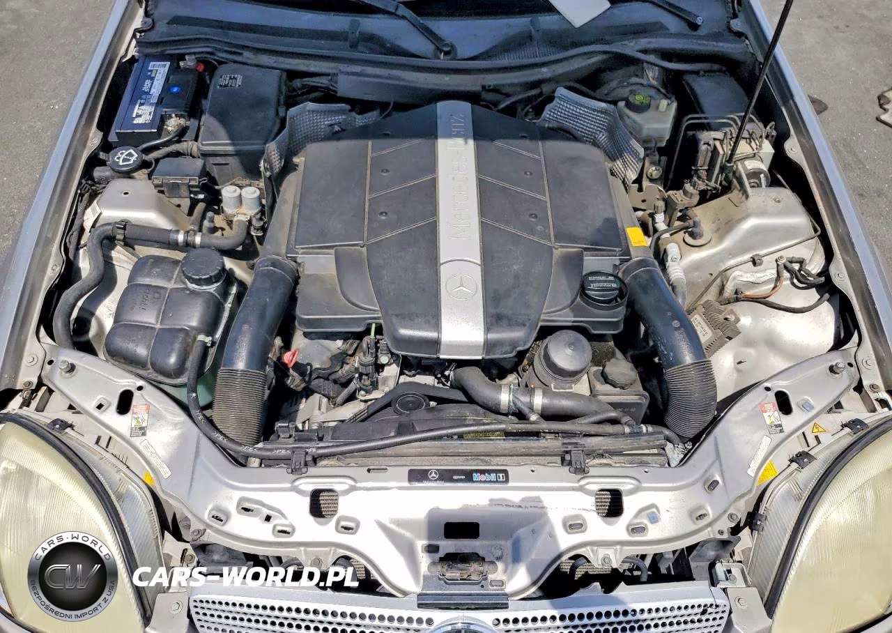 2004 Mercedes-Benz Slk 320 VIN:WDBKK65F14F304118 - 11