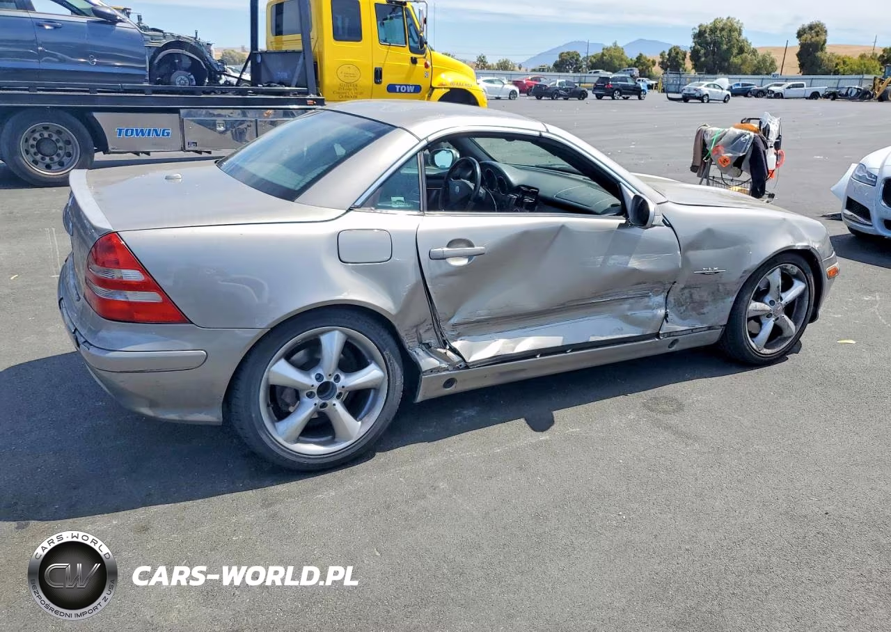 2004 Mercedes-Benz Slk 320 VIN:WDBKK65F14F304118 - 3
