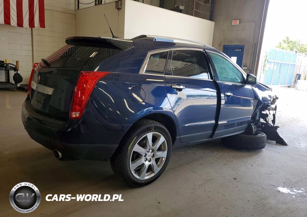 2010 Cadillac Srx Performance Collection VIN:3GYFNEEY6AS573559 - 3