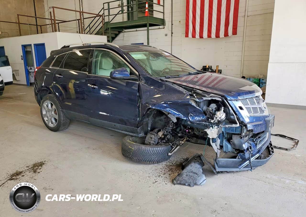 2010 Cadillac Srx Performance Collection VIN:3GYFNEEY6AS573559 - 4