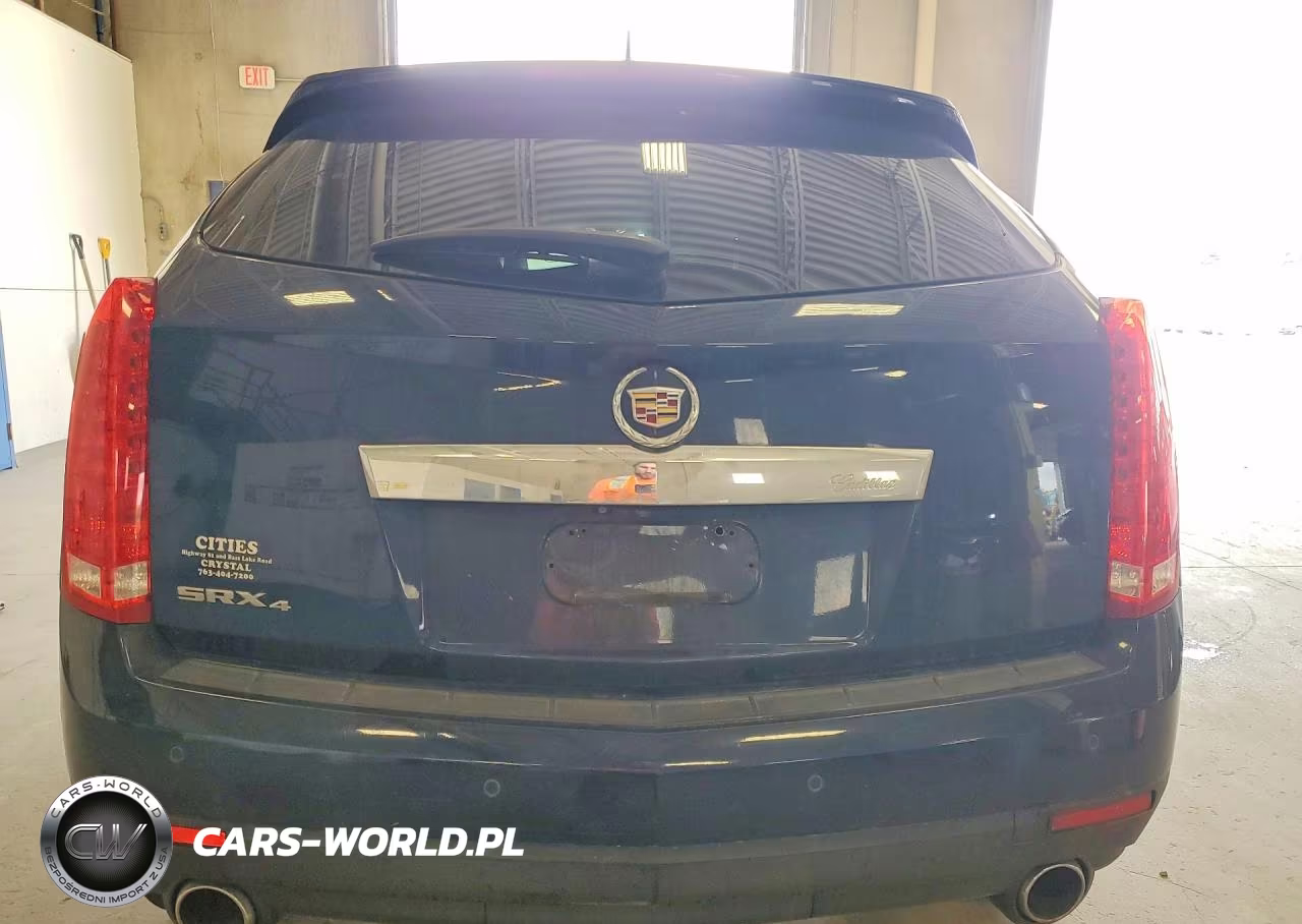 2010 Cadillac Srx Performance Collection VIN:3GYFNEEY6AS573559 - 6