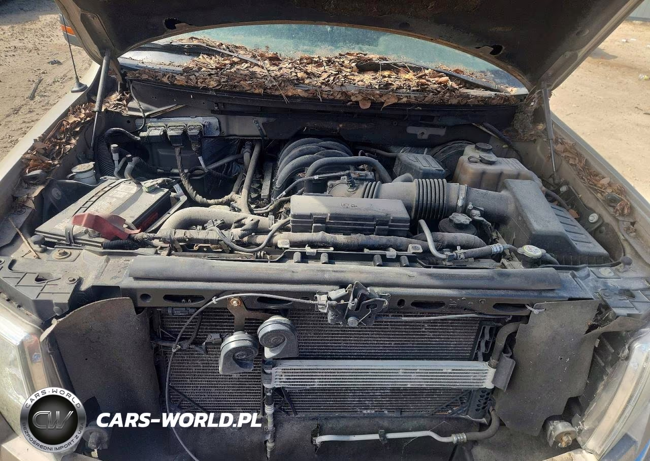 2010 Ford F150 Supercrew VIN:1FTEW1C82AKA27587 - 11