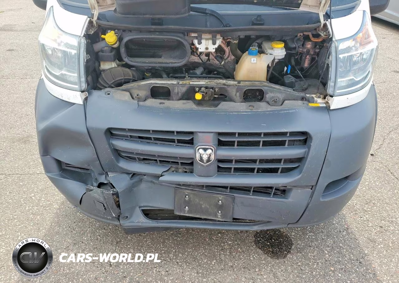 2018 Ram Promaster 1500 Delivery Van VIN:3C6TRVNGXJE156083 - 12