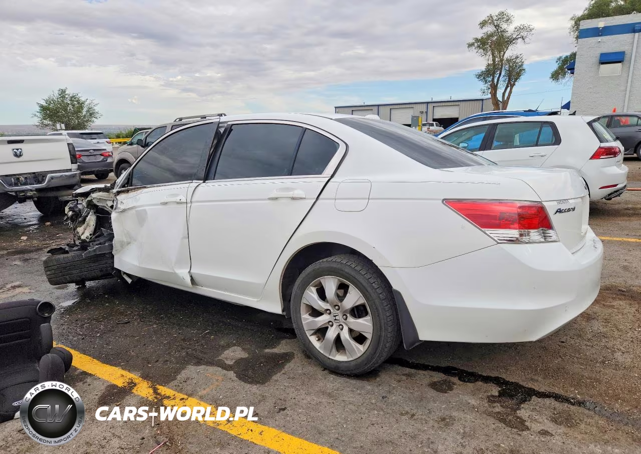 2010 Honda Accord Exl VIN:1HGCP2F85AA156033 - 2