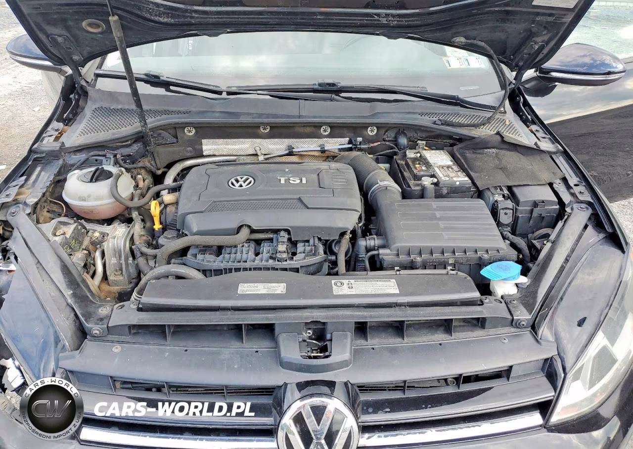 2017 Volkswagen Golf S VIN:3VW217AU4HM027921 - 11