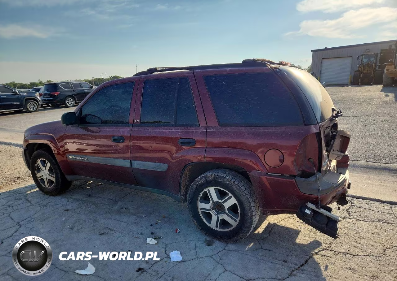 2004 Chevrolet Trailblazer Ls VIN:1GNDS13S242334496 - 2