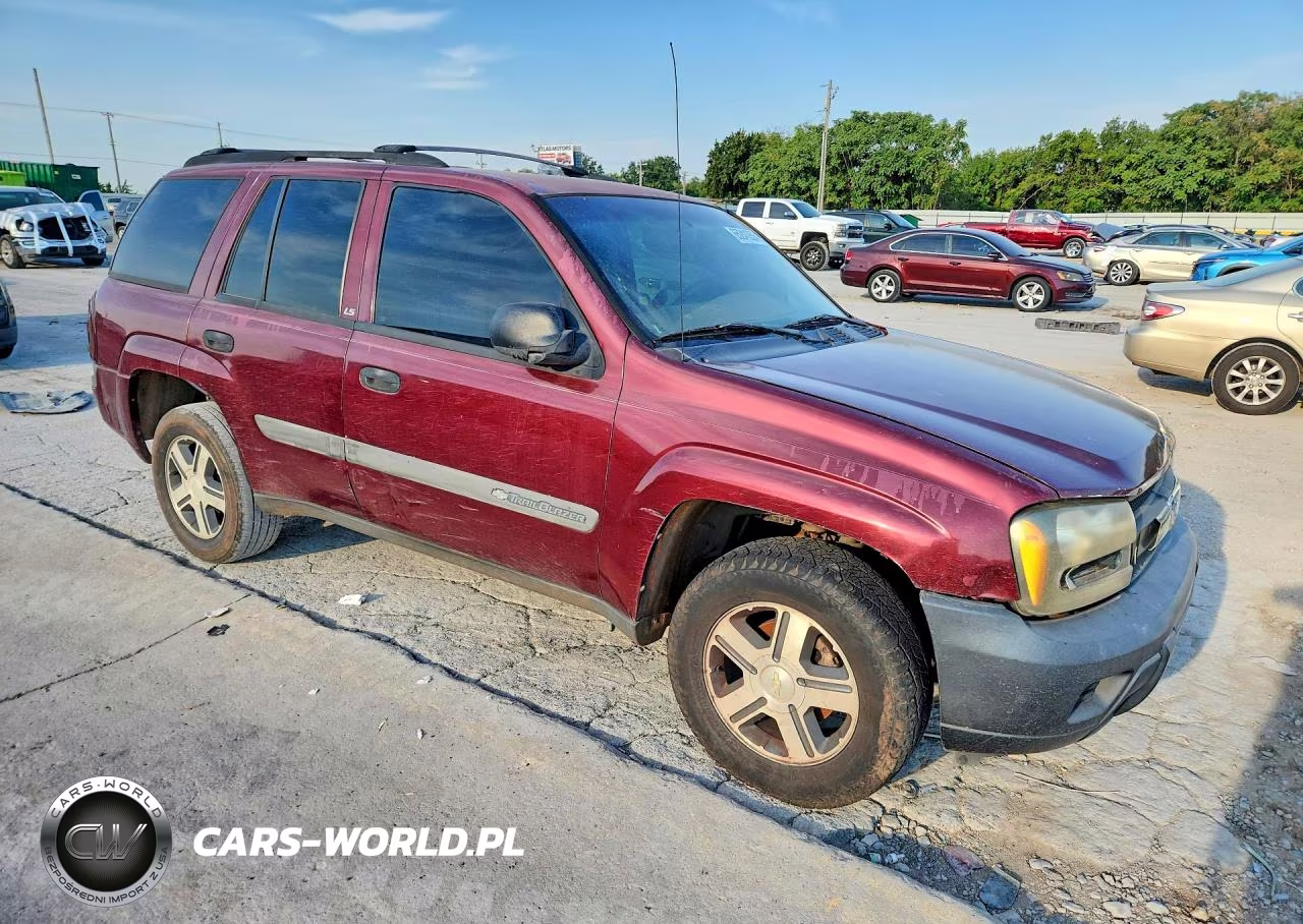 2004 Chevrolet Trailblazer Ls VIN:1GNDS13S242334496 - 4