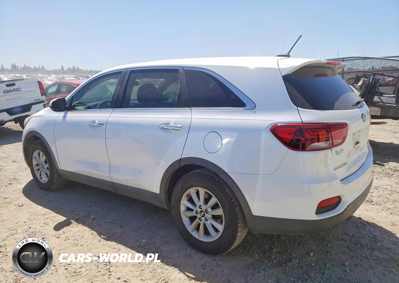 2019 Kia Sorento Lx VIN:5XYPG4A31KG437898 - 2