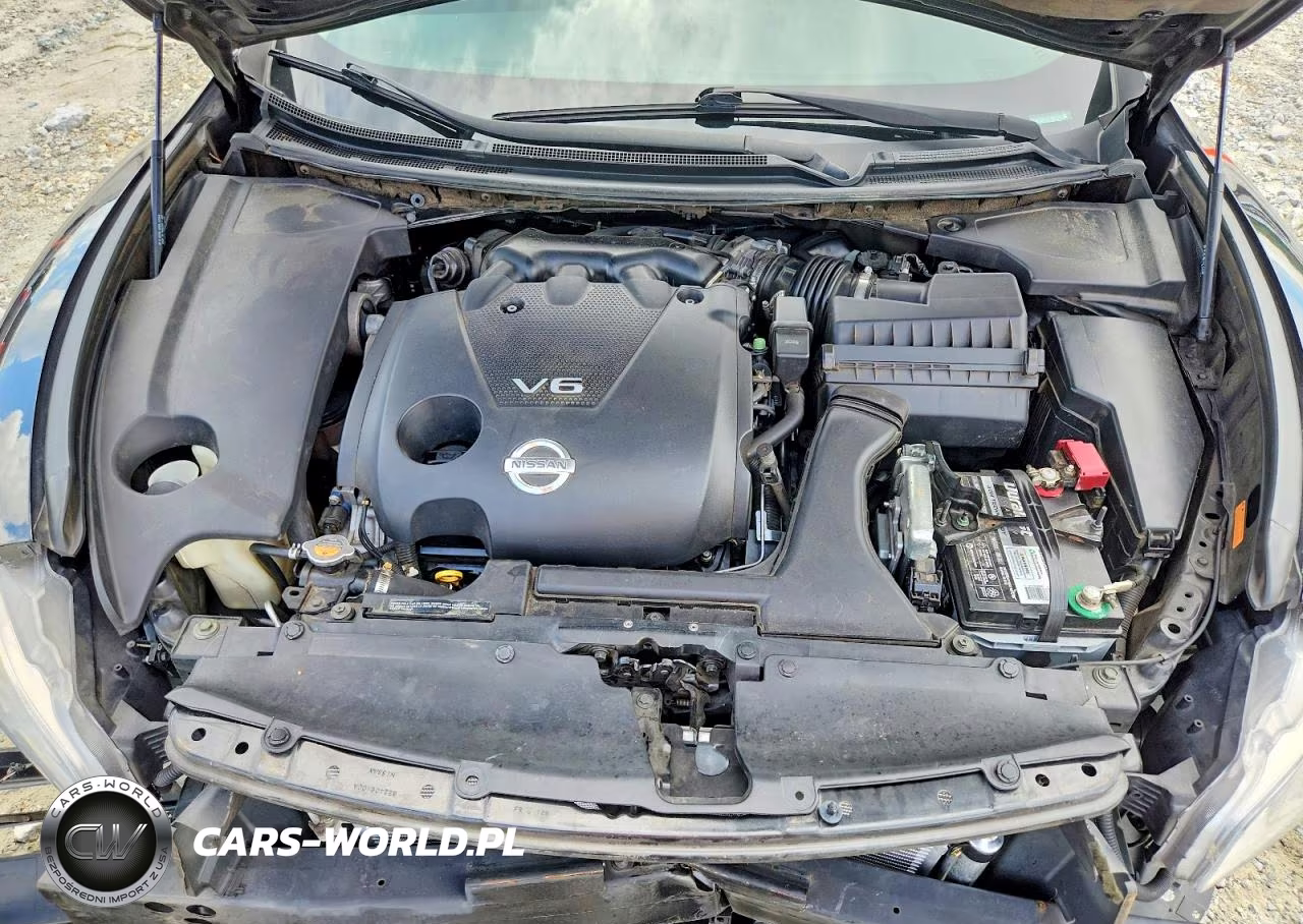2009 Nissan Maxima 3.5 S VIN:1N4AA51E39C805792 - 11