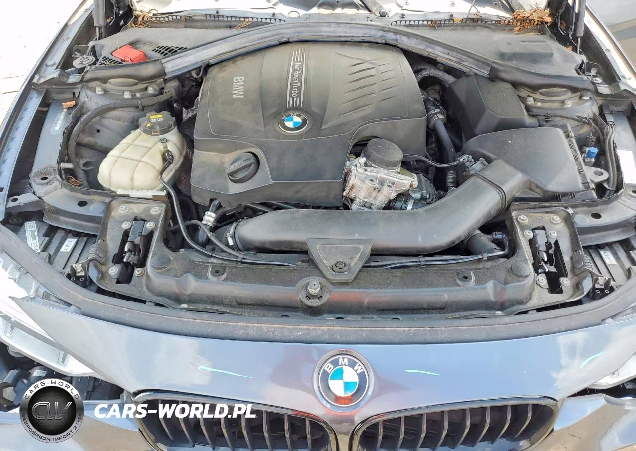 2015 BMW 335 Xi VIN:WBA3B9G5XFNR99412 - 11
