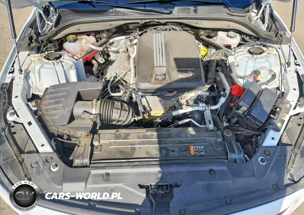 2024 Cadillac Ct5 Luxury VIN:1G6DW5RK6R0129958 - 11