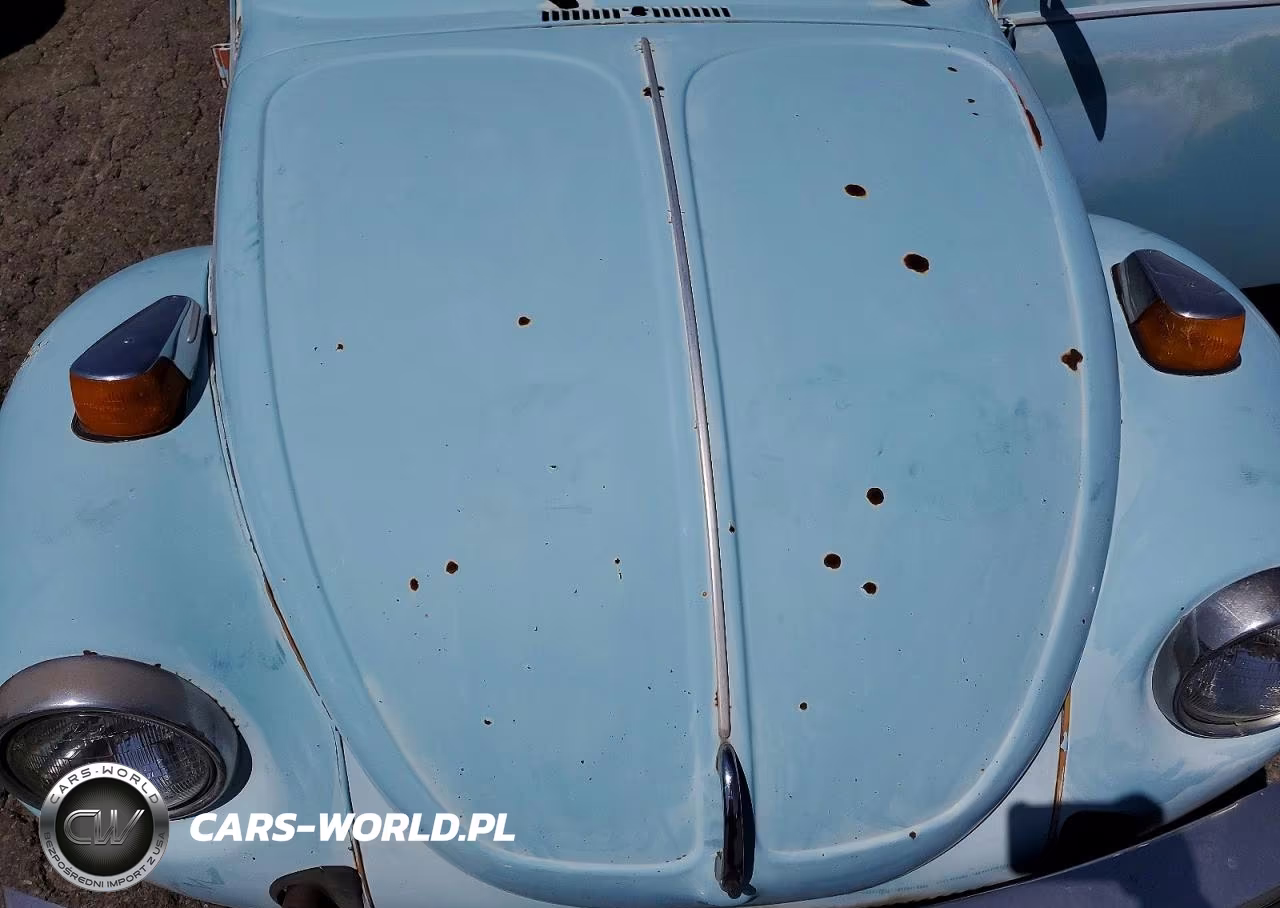 1974 Volkswagen Beetle VIN:1342095447 - 11