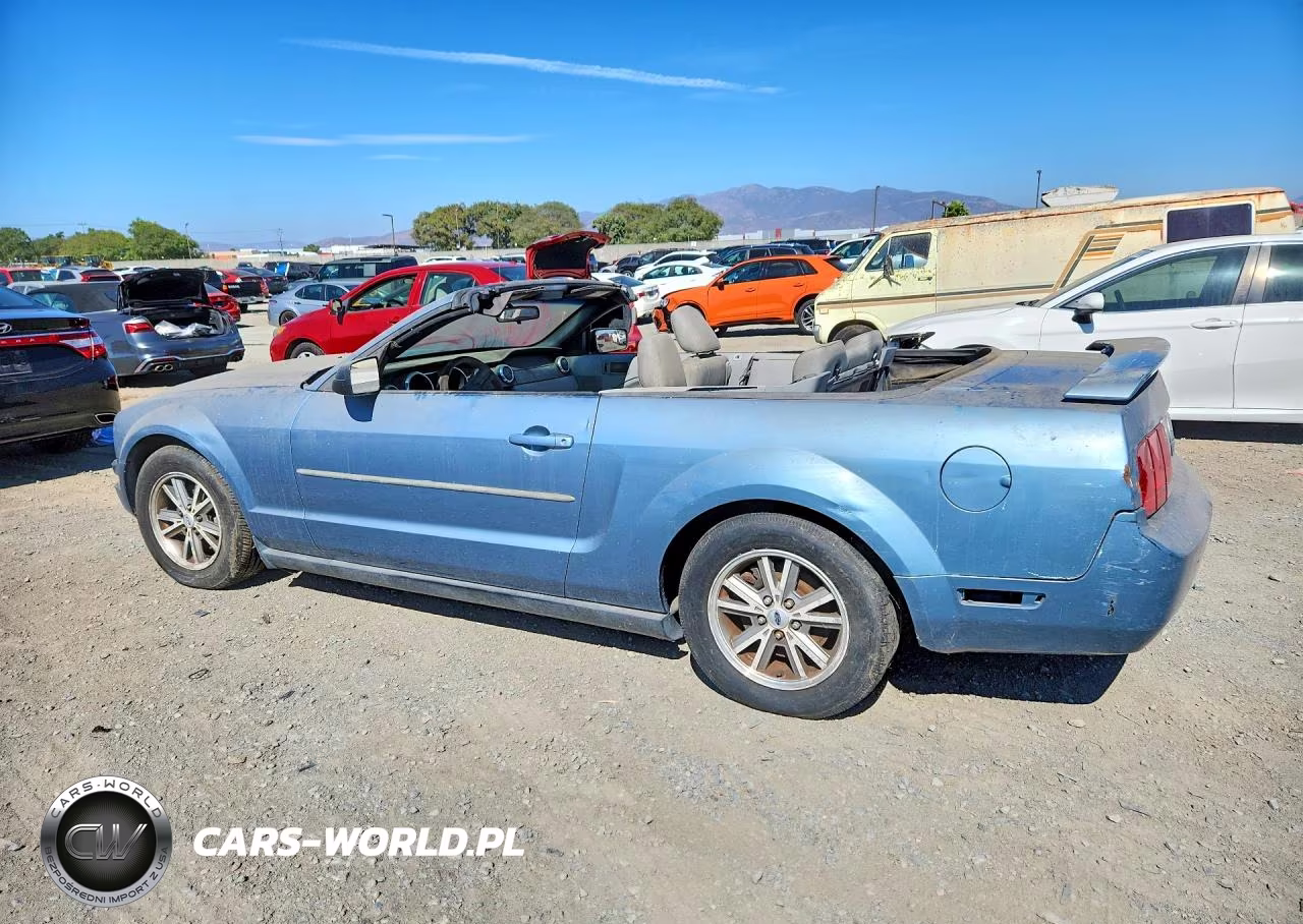 2005 Ford Mustang VIN:1ZVFT84N355207382 - 2