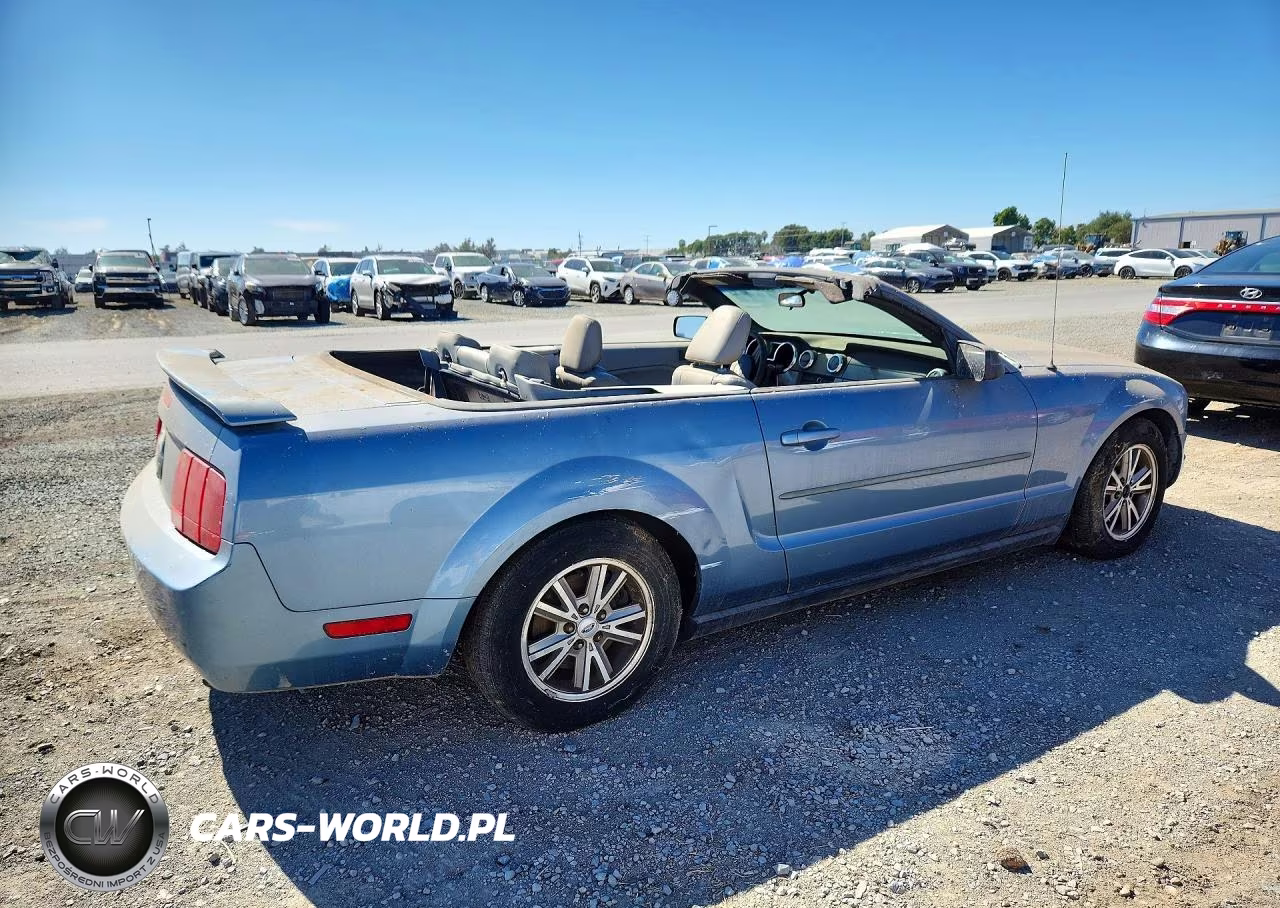 2005 Ford Mustang VIN:1ZVFT84N355207382 - 3