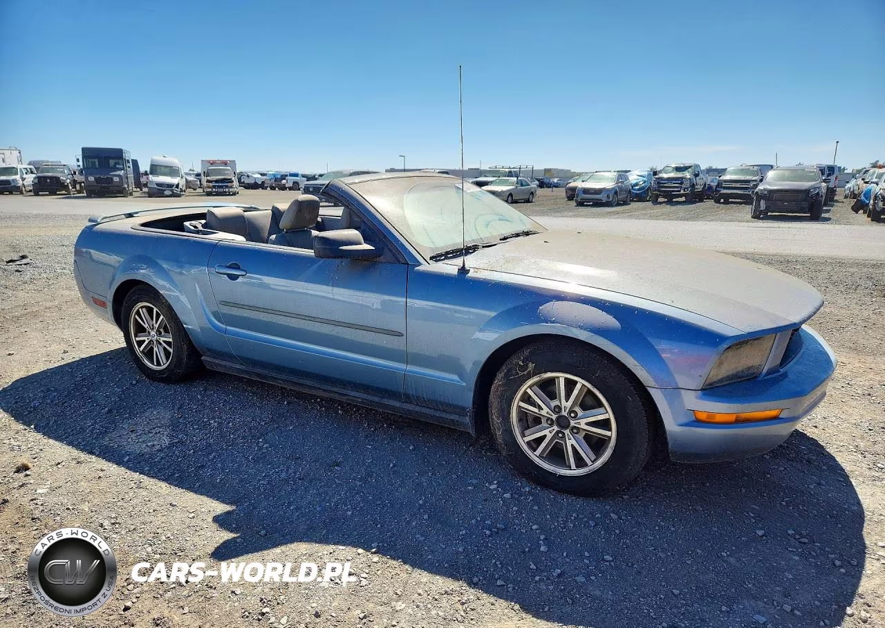 2005 Ford Mustang VIN:1ZVFT84N355207382 - 4