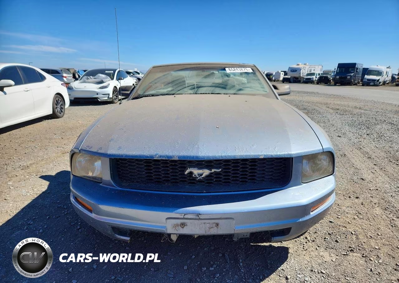 2005 Ford Mustang VIN:1ZVFT84N355207382 - 5