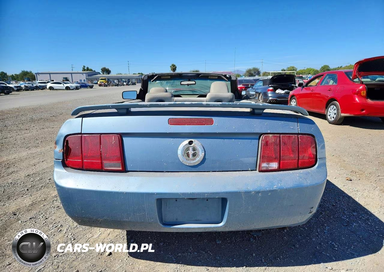2005 Ford Mustang VIN:1ZVFT84N355207382 - 6