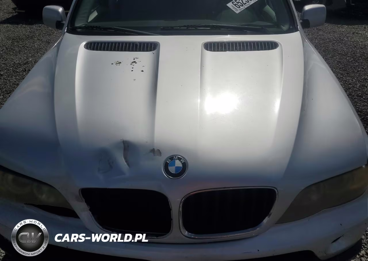 2005 BMW X5 3.0I VIN:5UXFA135X5LY13032 - 12