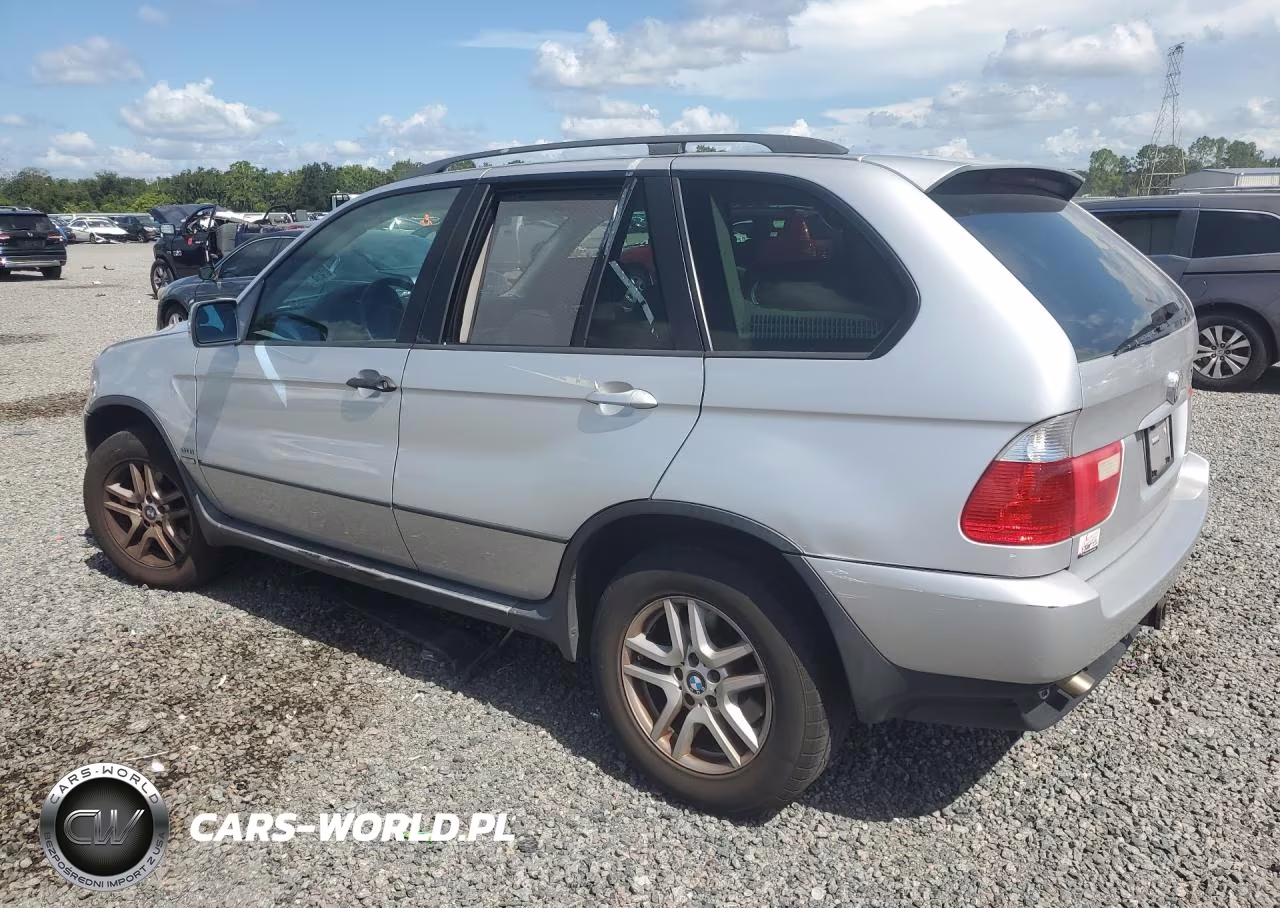 2005 BMW X5 3.0I VIN:5UXFA135X5LY13032 - 2