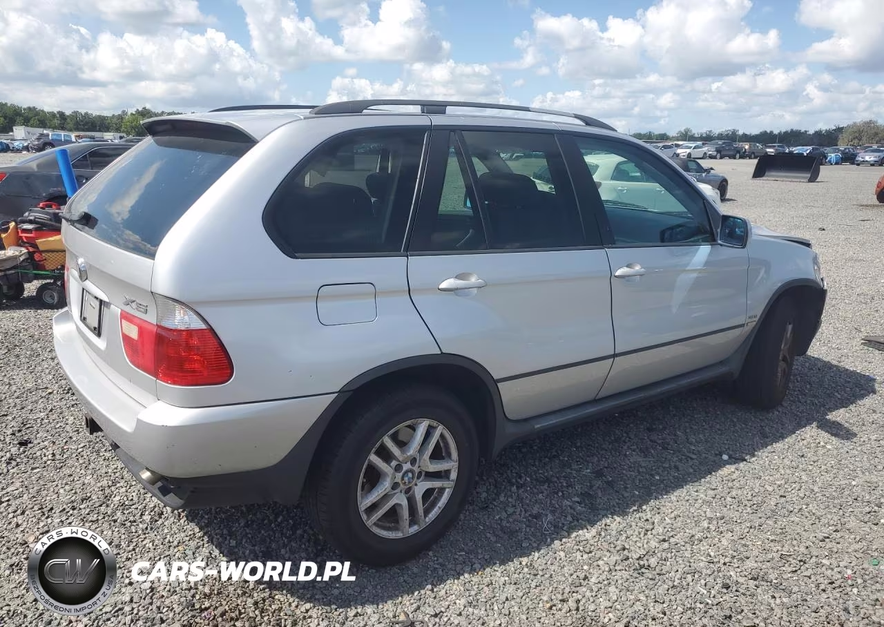 2005 BMW X5 3.0I VIN:5UXFA135X5LY13032 - 3