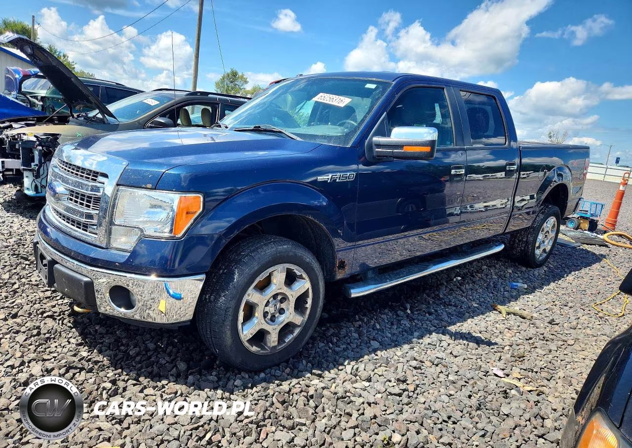 2013 Ford F150 Supercrew VIN:1FTFW1EFXDKF39117 - 1