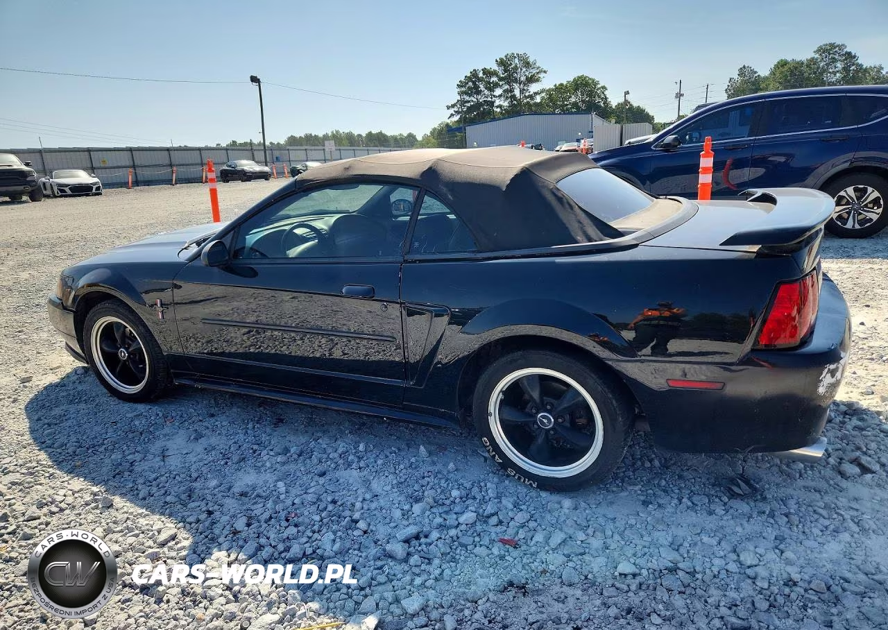 2003 Ford Mustang VIN:1FAFP44423F404970 - 2