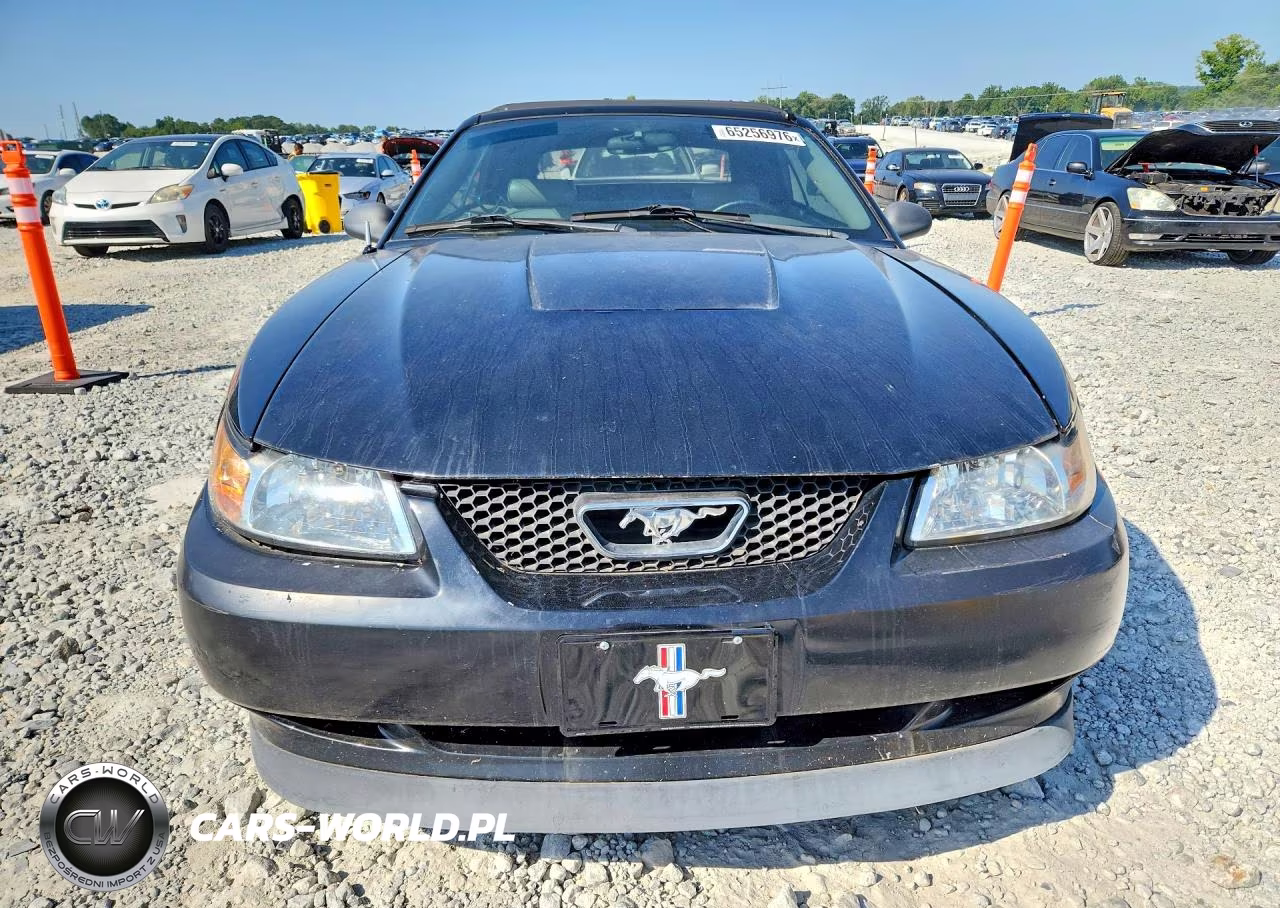 2003 Ford Mustang VIN:1FAFP44423F404970 - 5