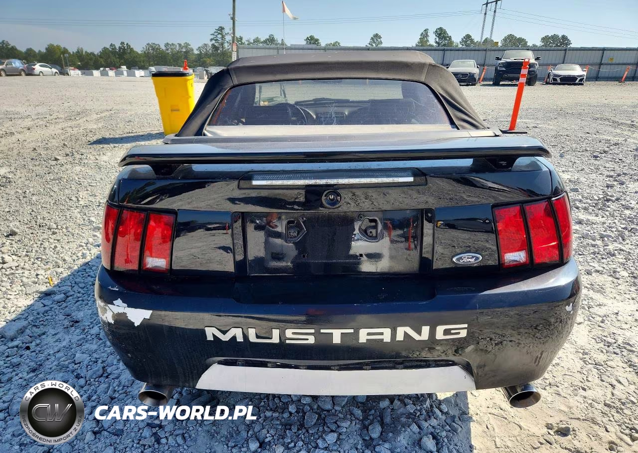 2003 Ford Mustang VIN:1FAFP44423F404970 - 6