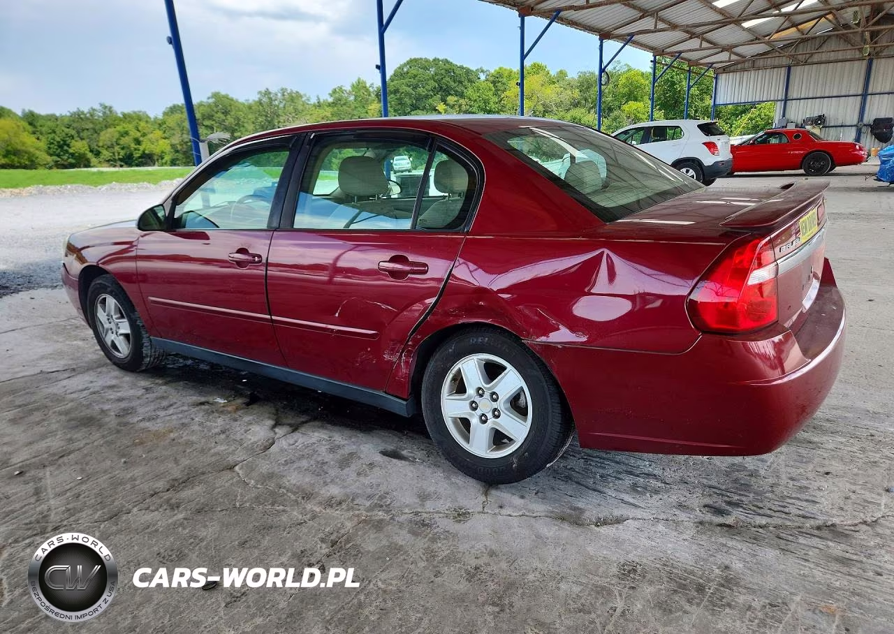 2004 Chevrolet Malibu Ls VIN:1G1ZT54894F177766 - 2