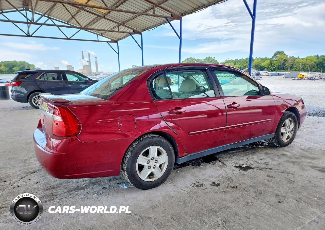 2004 Chevrolet Malibu Ls VIN:1G1ZT54894F177766 - 3