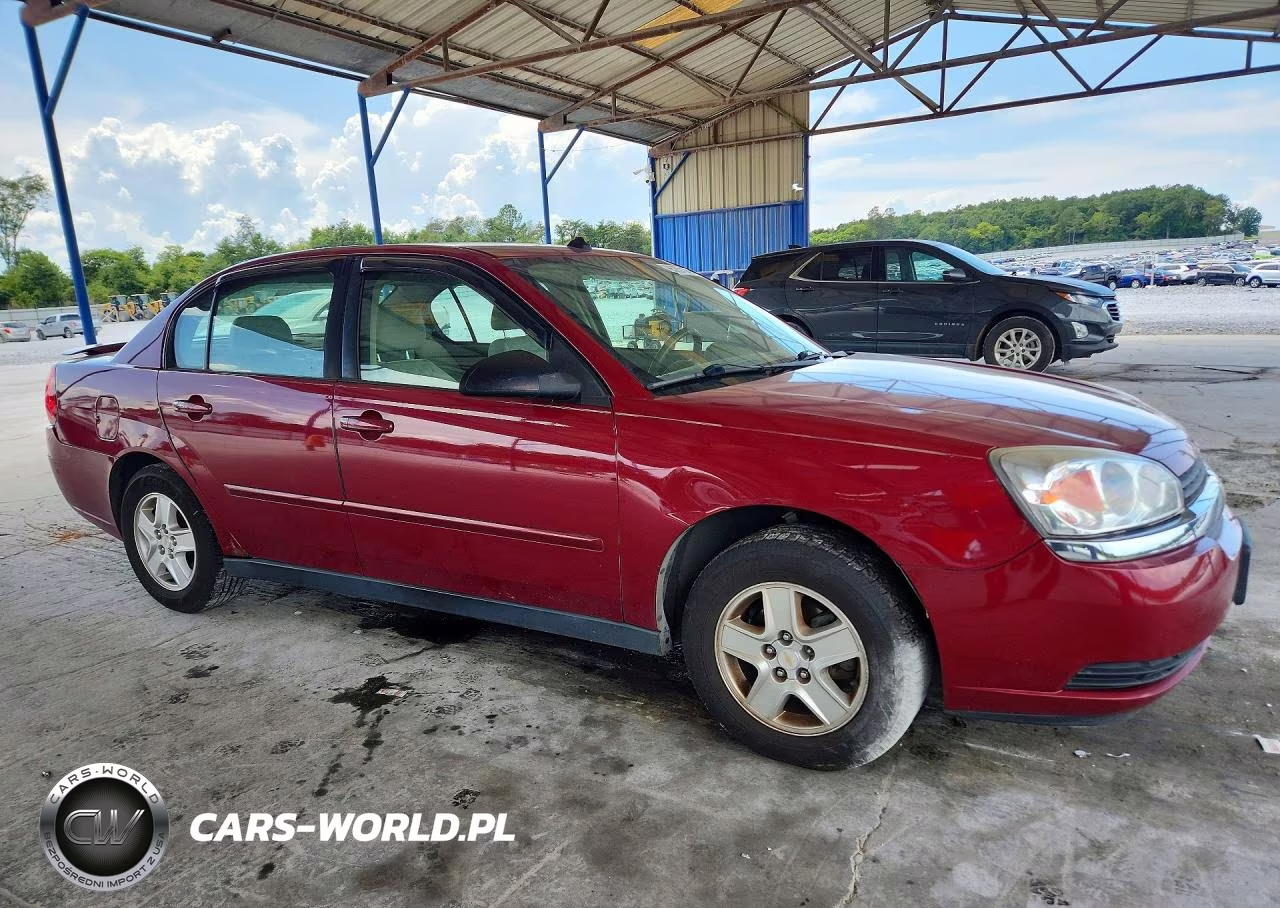 2004 Chevrolet Malibu Ls VIN:1G1ZT54894F177766 - 4