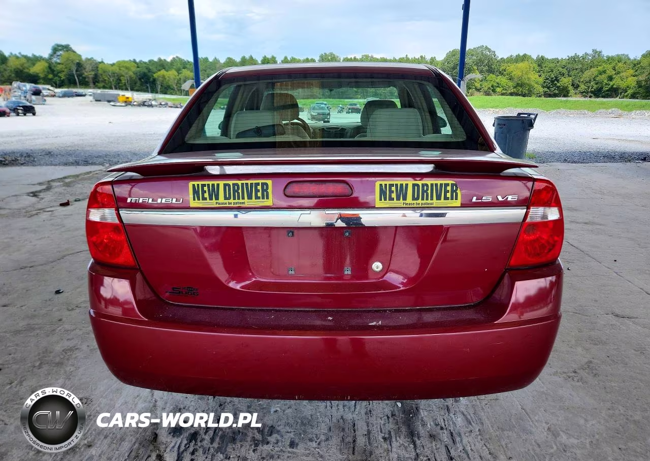 2004 Chevrolet Malibu Ls VIN:1G1ZT54894F177766 - 6
