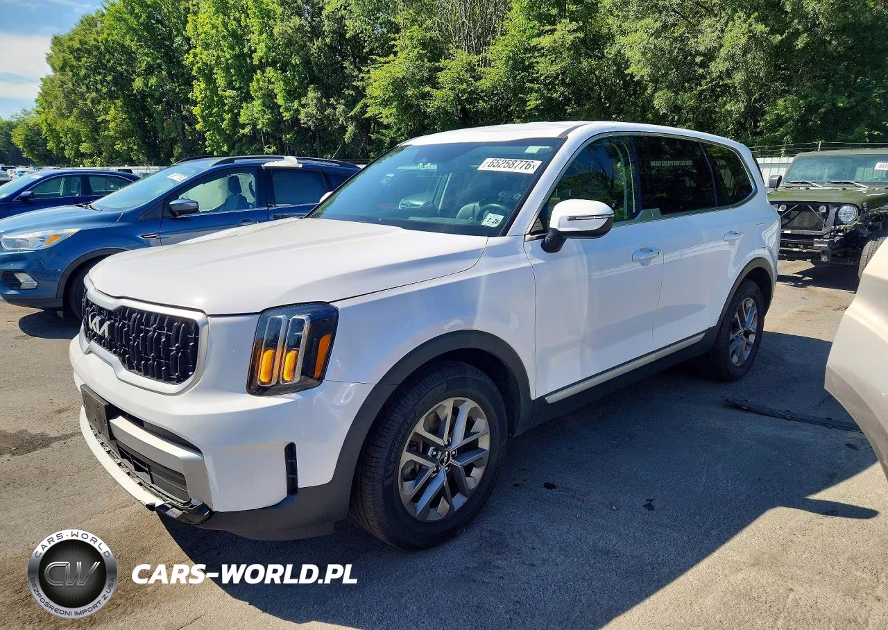 2024 Kia Telluride Lx VIN:5XYP2DGC8RG419818 - 1