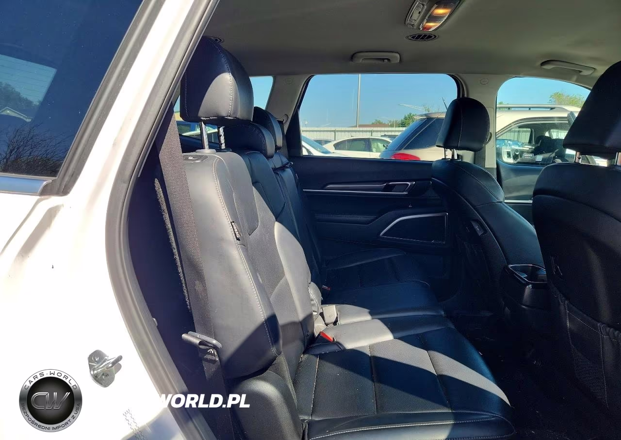 2024 Kia Telluride Lx VIN:5XYP2DGC8RG419818 - 10