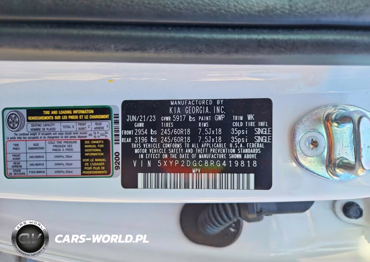 2024 Kia Telluride Lx VIN:5XYP2DGC8RG419818 - 12