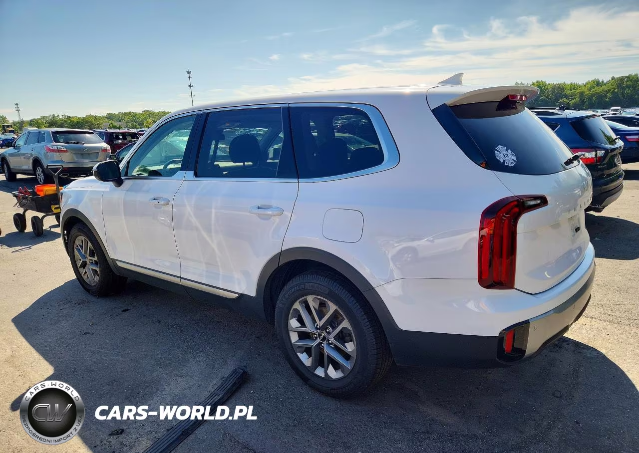 2024 Kia Telluride Lx VIN:5XYP2DGC8RG419818 - 2