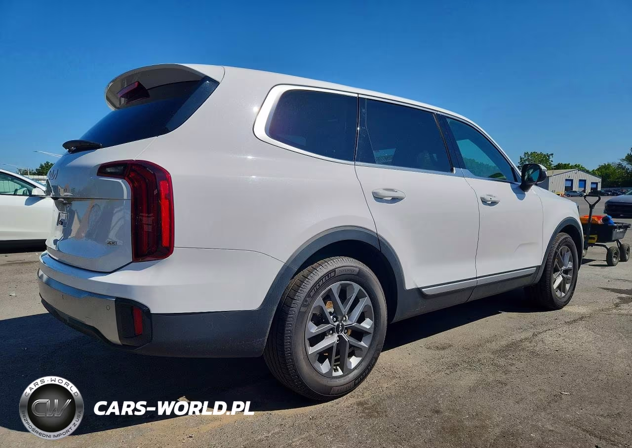 2024 Kia Telluride Lx VIN:5XYP2DGC8RG419818 - 3